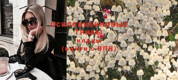 шишки Хадыженск