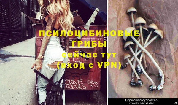 ешки Воткинск
