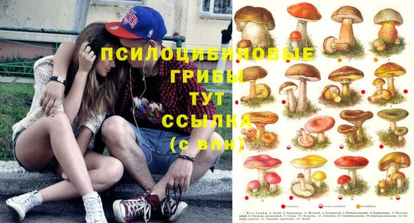 скорость Всеволожск