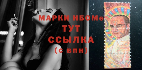 шишки Хадыженск
